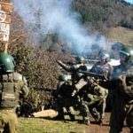 mapuche