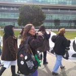 WhatsApp Image 2018-07-16 at 12.28.26 (2)